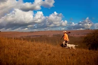 Garmin Alpha 300i Handheld