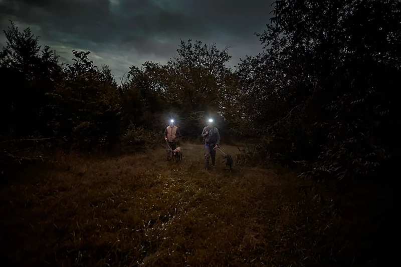 Garmin Alpha 10 Handheld