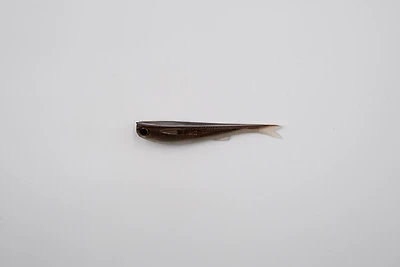 No Live Bait Needed 5 Lil Mullets 3-Pack