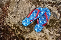 Magellan Outdoors Busch Light 7L Ice Bucket with Handle and Lid