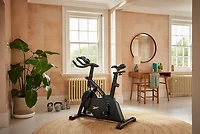 Reebok FR30 Sprint Exercise Bike