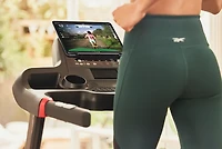 Reebok GT40z Folding Treadmill