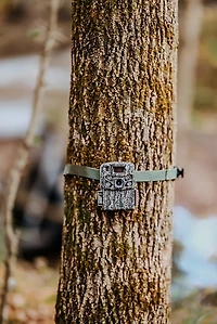 Strike Force FHDR 26MP Trail Camera 2-pack