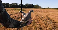 Lucky Duck Clip-On Dove Decoy 4-Pack
