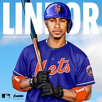 Franklin Adults' All-Weather Pro Baseball Batting Gloves