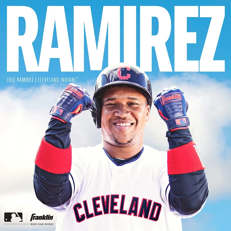 Franklin Youth CFX Pro Batting Gloves