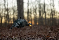 Higdon FLEX Turkey Feeder Hen Silhouette