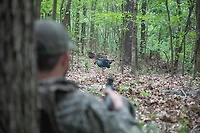 Higdon FLEX Turkey Upright Tom Silhouette