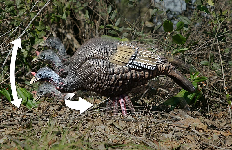 Higdon XS TruFeeder Motion Turkey Hen