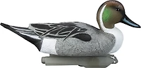 Higdon Standard Pintail Decoy 6-Pack