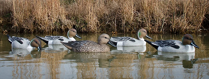 Higdon Standard Pintail Decoy 6-Pack