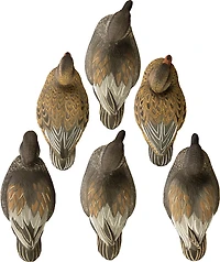 Higdon Standard Gadwall Decoy 6-Pack