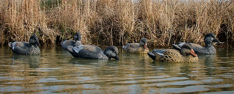 Higdon Standard Gadwall Decoy 6-Pack