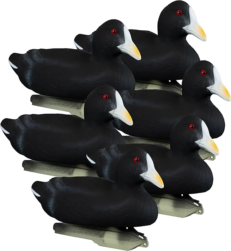 Higdon Standard Coot Decoy 6-Pack
