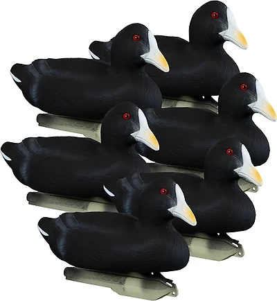 Higdon Standard Coot Decoy 6-Pack