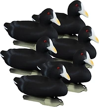 Higdon Standard Coot Decoy 6-Pack
