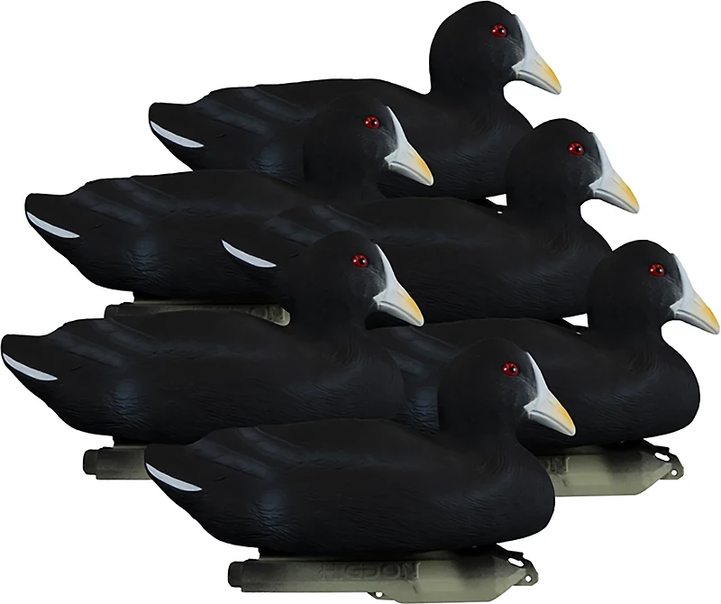 Higdon Standard Coot Decoy 6-Pack