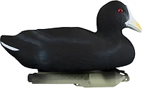 Higdon Standard Coot Decoy 6-Pack