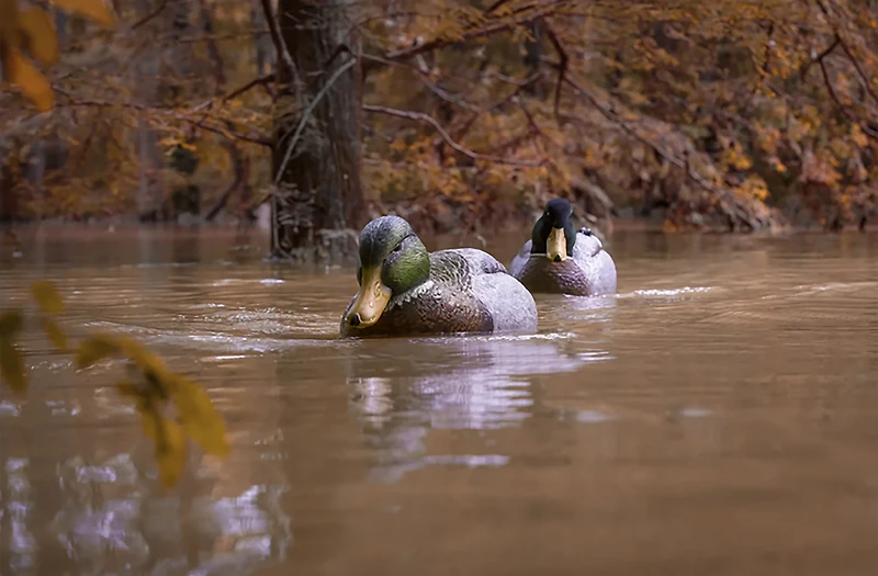 Higdon Battleship Swimmer PRO Mallard Drake Guide Pack Decoy