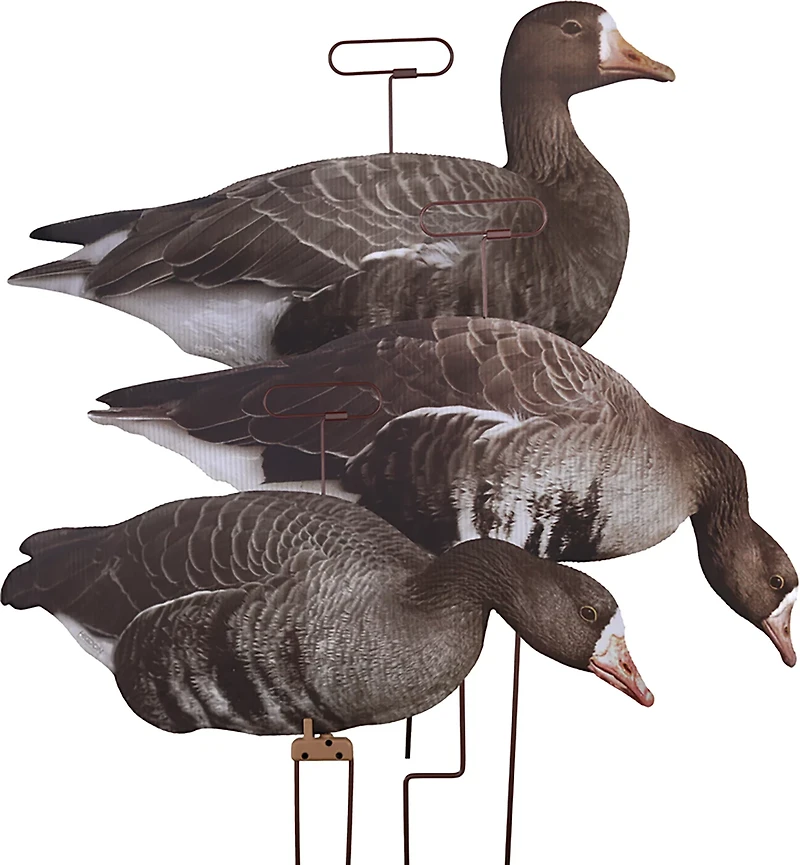 Higdon FLATS Specklebelly Goose Motion Silhouette 12-Pack