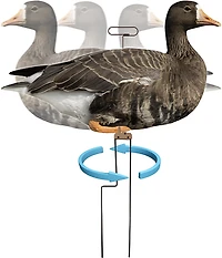 Higdon FLATS Specklebelly Goose Motion Silhouette 12-Pack