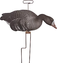 Higdon FLATS Specklebelly Goose Motion Silhouette 12-Pack