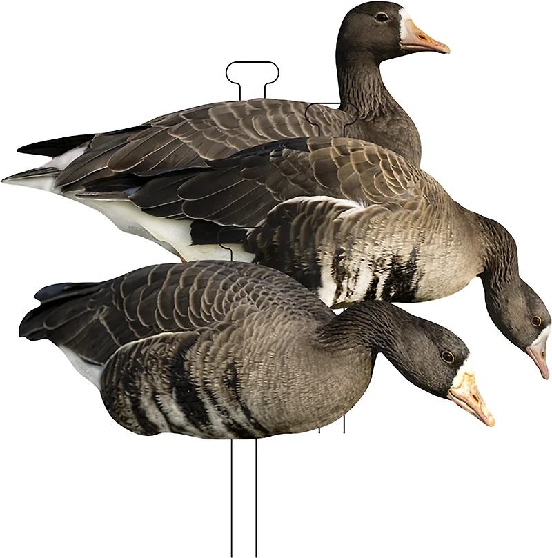 Higdon FLATS Specklebelly Goose Silhouette 12-Pack