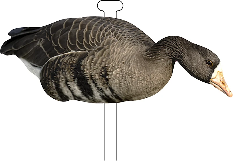 Higdon FLATS Specklebelly Goose Silhouette 12-Pack