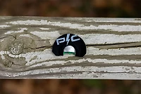 Power Calls Batwing Dome Diaphragm Turkey Call