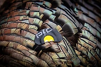 Power Calls Yelper Diaphragm Call