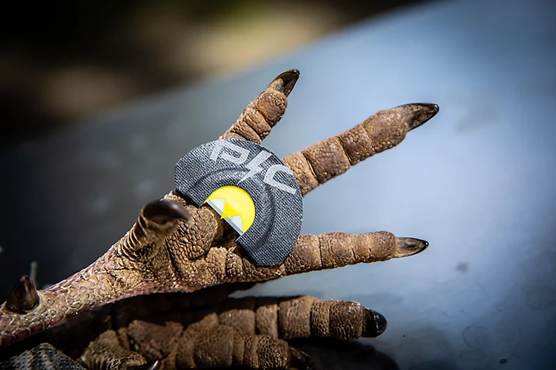 Power Calls Yelper Diaphragm Call