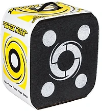 Block Black Hole 22 Archery Target