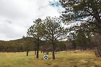 BLOCK Bullseye 34 Archery Target