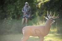 Shooter Buck 3-D Archery Target