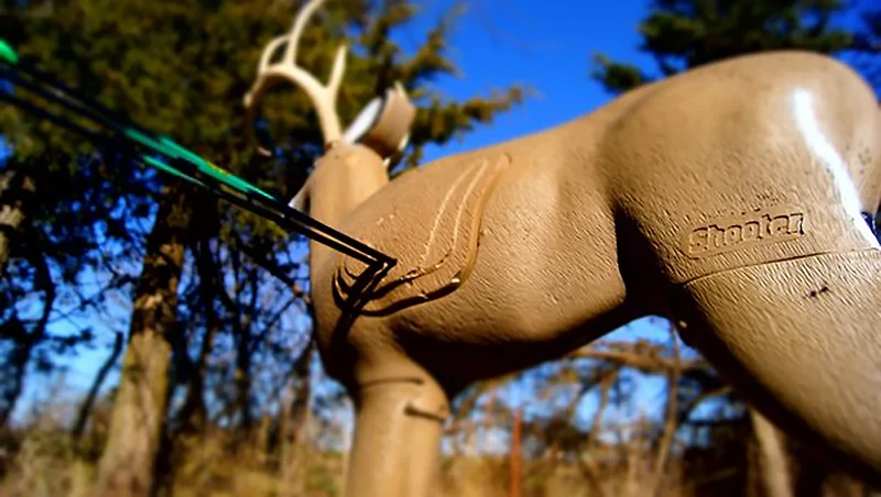 Shooter Buck 3-D Archery Target