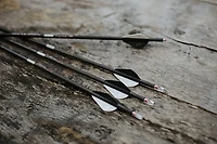 Carbon Express Maxima Sable RZ 350 Arrow 31 6-Pack