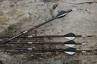 Carbon Express Maxima Sable RZ 350 Arrow 31 6-Pack