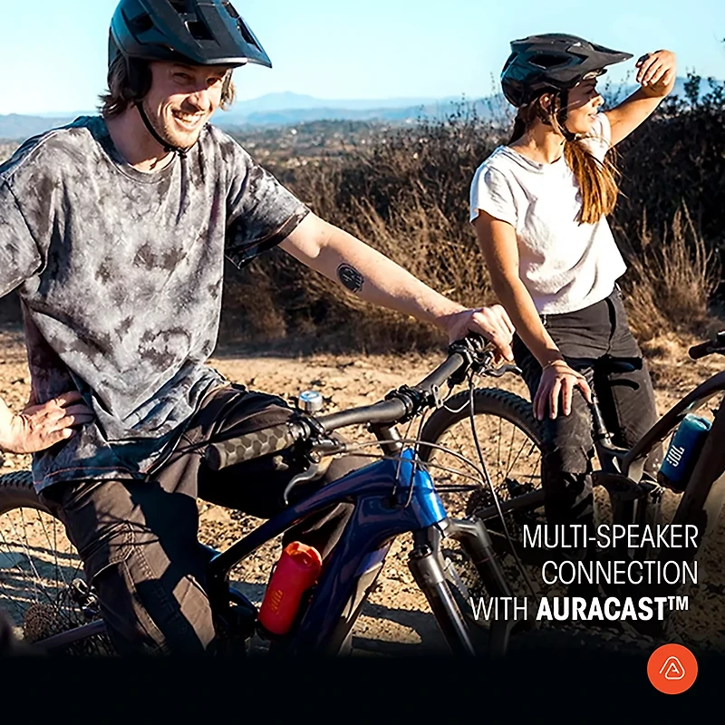 JBL Flip 7 Bluetooth Speaker