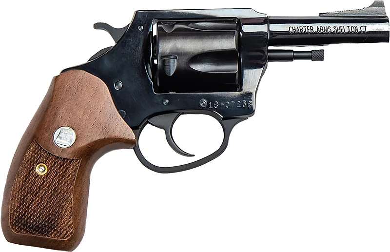 Charter Arms Bulldog Special Classic .44 Special 3 in 5-Round Revolver