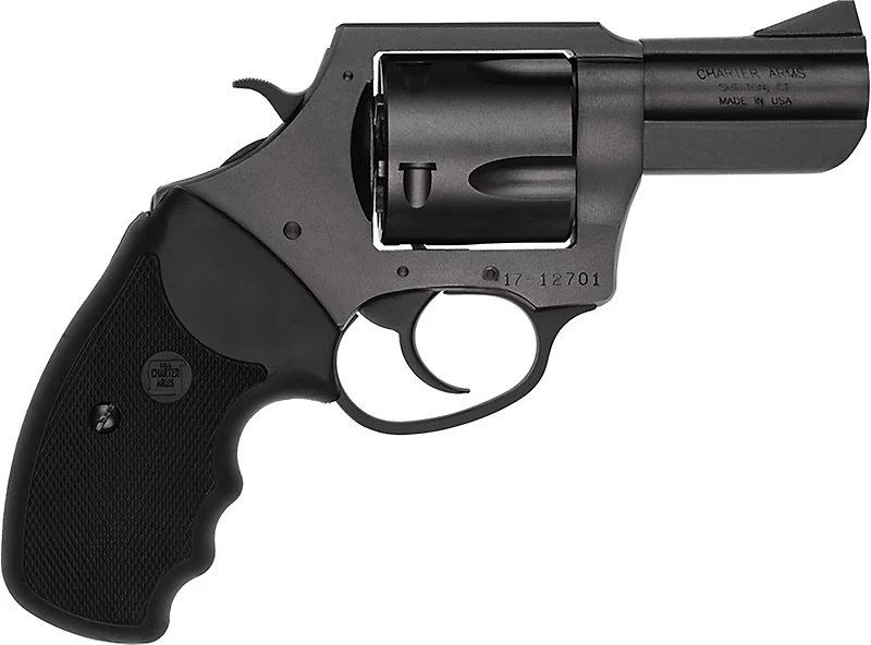 Charter Arms Pitbull .45 ACP 2.5 in 5-Round Revolver