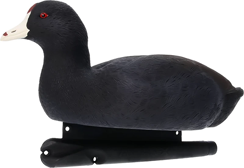 Avian X Topflight Coot Decoys 6-Pack