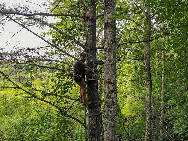 Hawk Cruzer Hang On Treestand