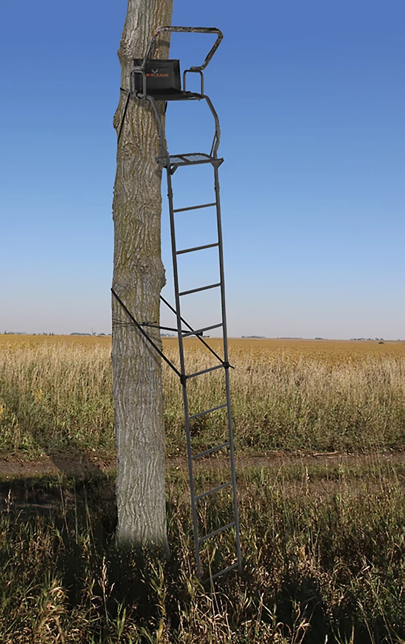 Big Game Warrior DXT Ladderstand
