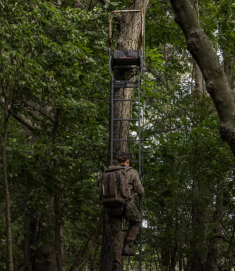 Big Game Warrior DXT Ladderstand