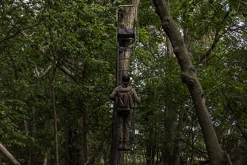 Big Game Warrior DXT Ladderstand