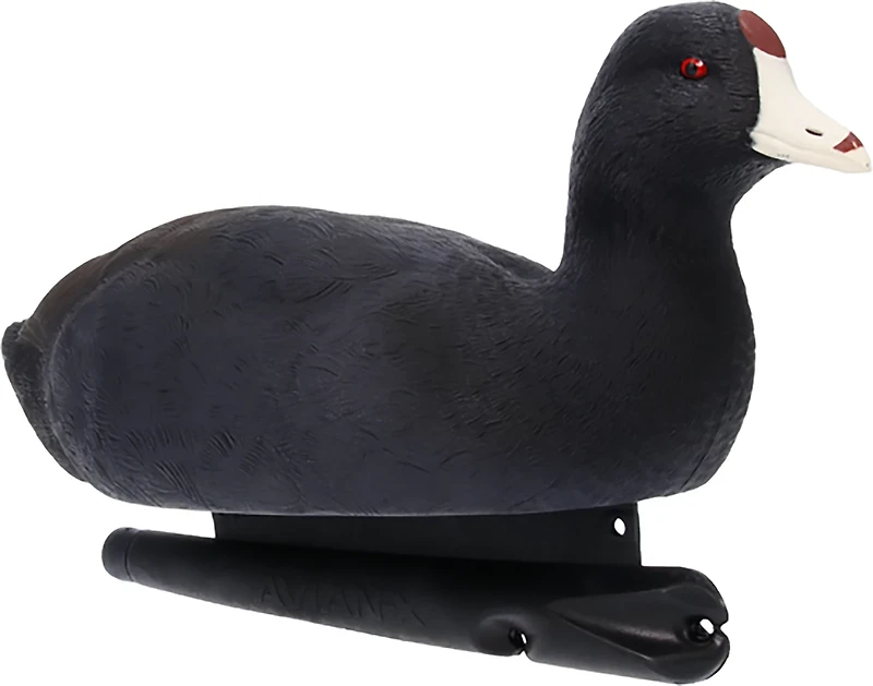 Avian X Topflight Coot Decoys 6-Pack