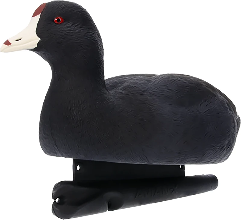 Avian X Topflight Coot Decoys 6-Pack