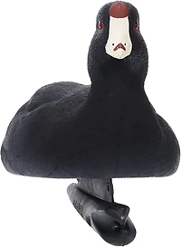 Avian X Topflight Coot Decoys 6-Pack