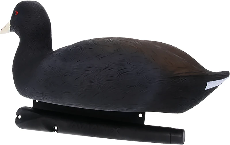 Avian X Topflight Coot Decoys 6-Pack
