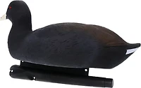 Avian X Topflight Coot Decoys 6-Pack